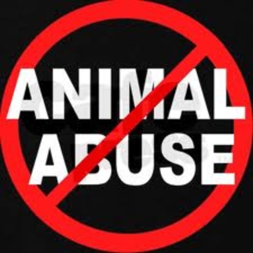 GTA, Henrix & Digital Lab VS Martin Garrix – Don’t Hit Animals (BURNØUT BOOTLEG)